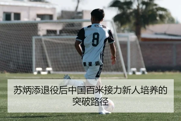 苏炳添退役后中国百米接力新人培养的突破路径