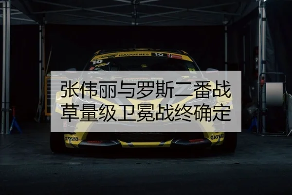 张伟丽与罗斯二番战 草量级卫冕战终确定